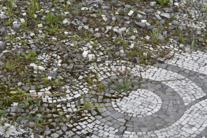 Il Viale e la Villa